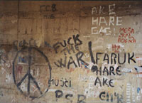 Graffiti on wal in Sarajevo, peace symbol, anti-war epithet, photo by author 
